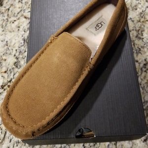 Men's Ugg slippers